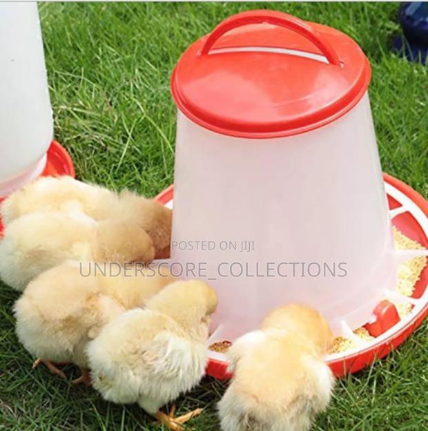 Plastic Poultry Feeder - main view