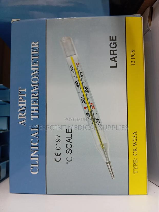 Clinical Thermometer - main view
