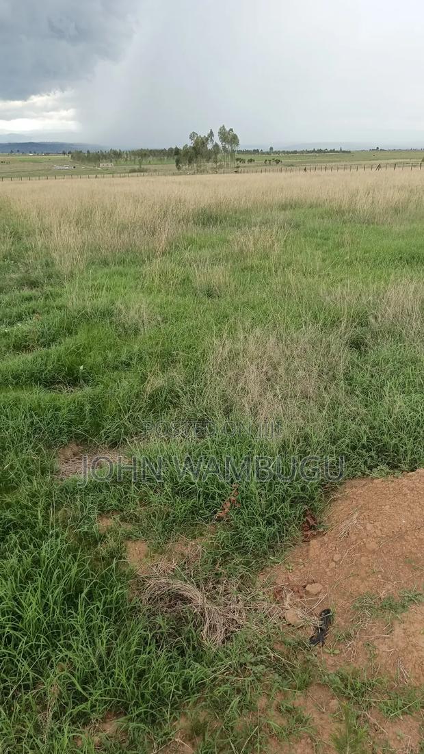 Residential Plot - main view