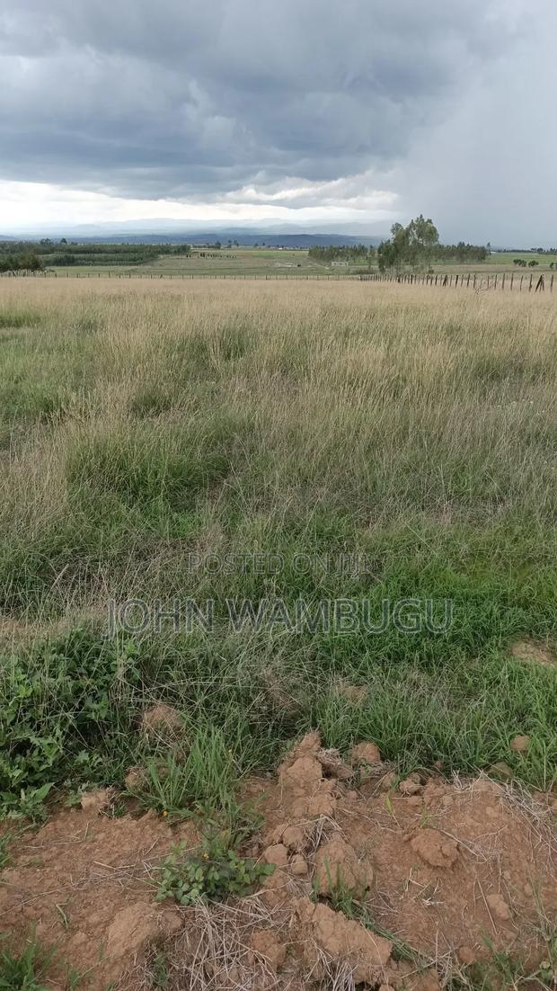 Residential Plot - thumbnail 2