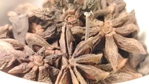 Star Anise - main view