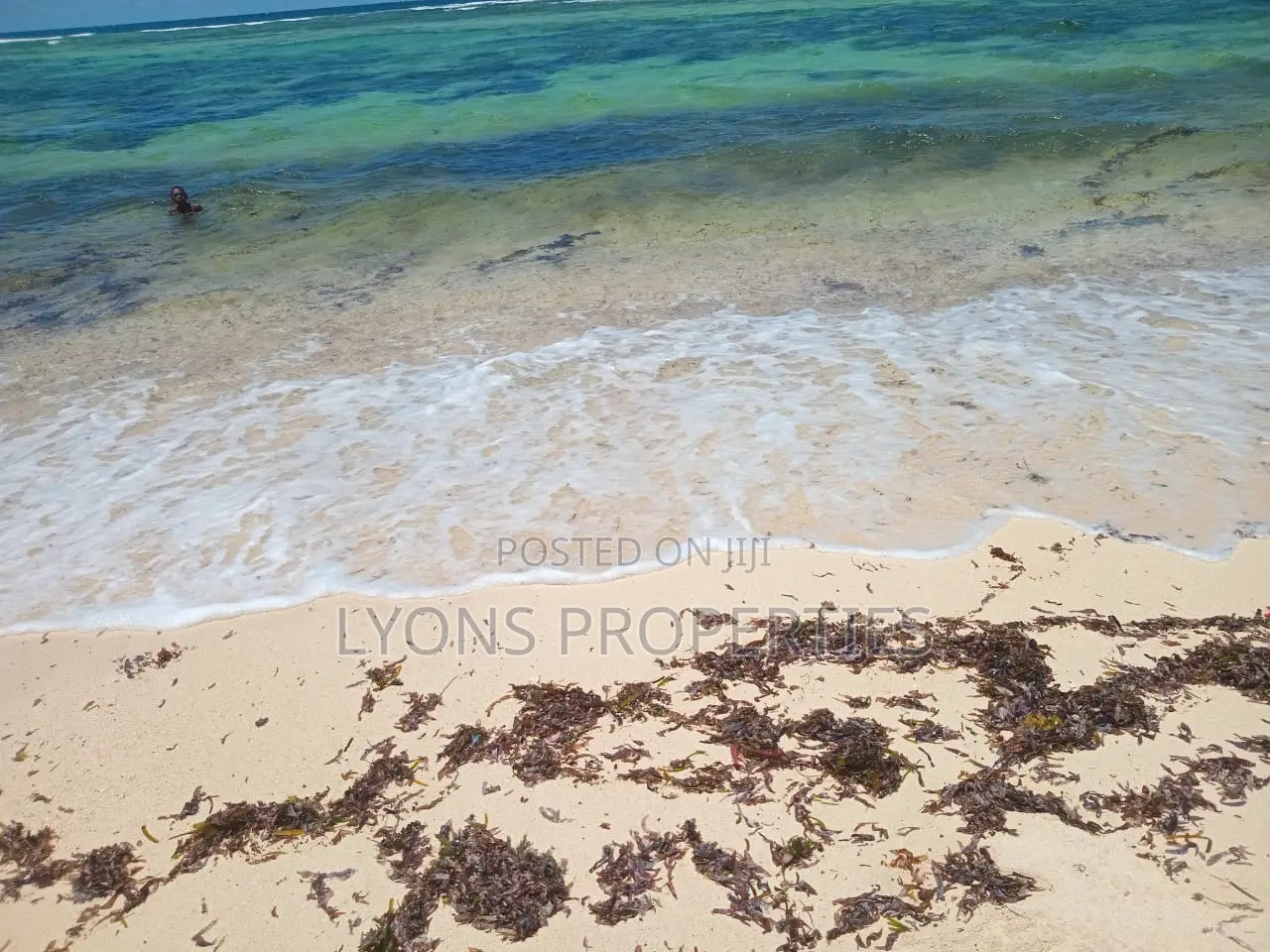 9 Acrea Coral Beach Plot for Sale