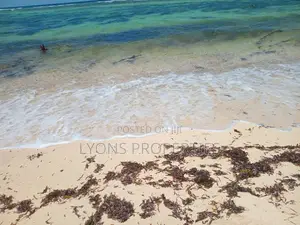 9 Acrea Coral Beach Plot for Sale