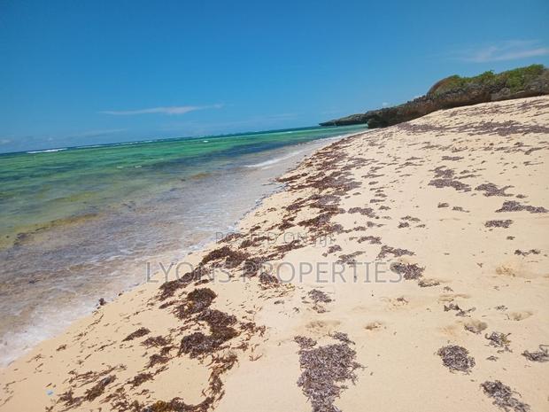 9 Acrea Coral Beach Plot for Sale - thumbnail 6