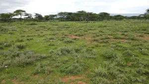 Prime 2 Acres Touching Ewuaso-Najile Road