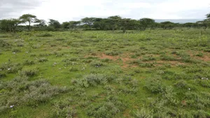 Prime 2 Acres Touching Ewuaso-Najile Road