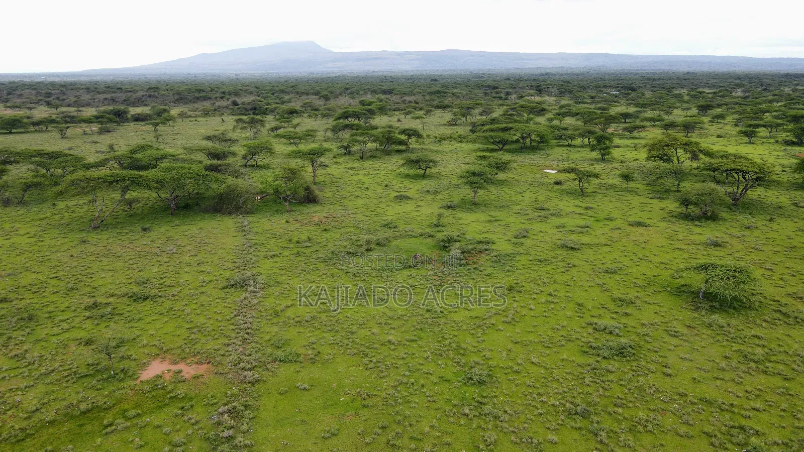 Prime 2 Acres Touching Ewuaso-Najile Road