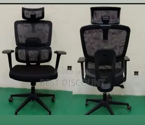 Office Chairs (Ergonomic)