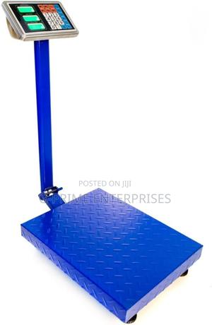 300kg -Commercial Weighing Scale /Platform Weighing Scale