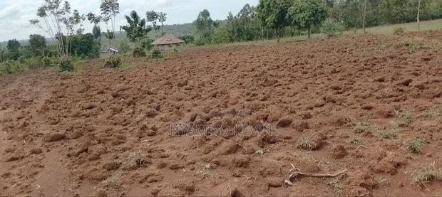 Alego Near Mugane School - thumbnail 4