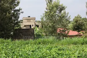 50 by 100 Plots in Mugutha^Pn
