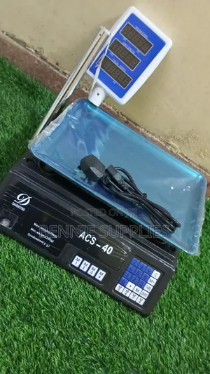 Acs 40 Digital Scale With Arm for Accurate Weighing