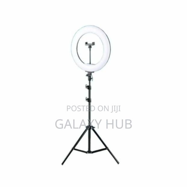 12" Ring Light