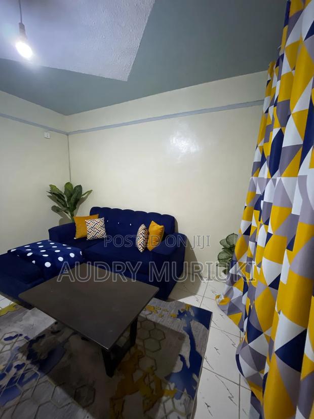 Stylish One Bedroom Airbnb Apartment TRM Driveroysambu Thika - main view