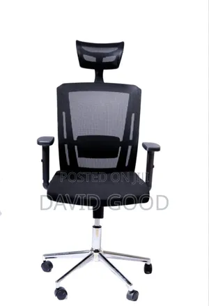 Engnomic Chair With Rumble Support