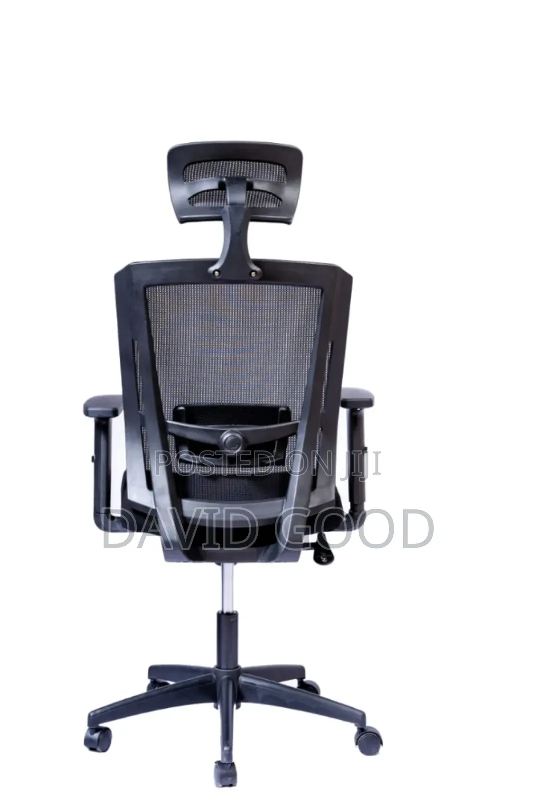 Engnomic Chair With Rumble Support