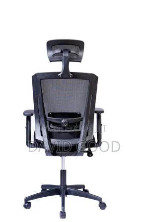 Engnomic Chair With Rumble Support