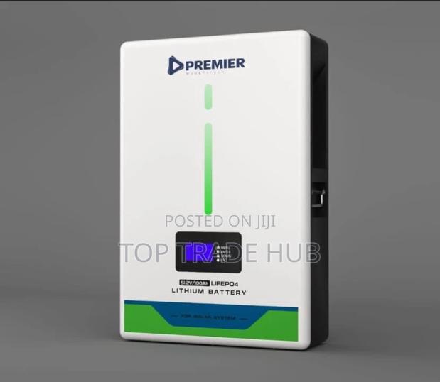 Durable Premier Lithium Ion Battery 100ah 51.2v 5kw