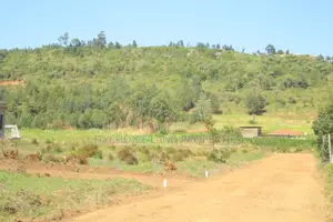 Own Land in Karai – Lusigett