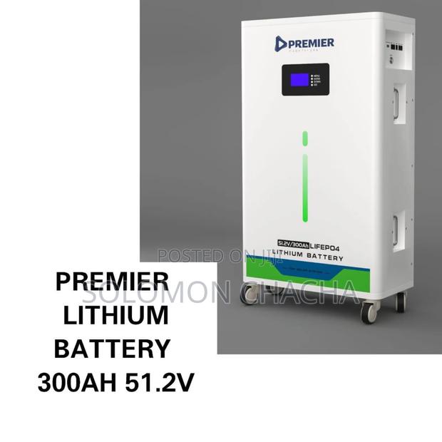 Premier 300ah 51.2v Lithium Battery Best Quality And Price