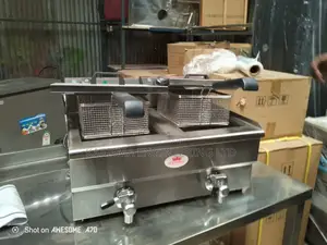 Double Tank Deep Fryer