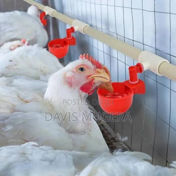 Automatic Poultry Red Cups Drinkers Available - 10 Pieces - main view