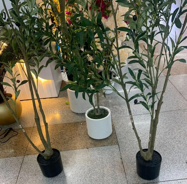 *Decorative Artificial Olive Plant*
*1.8m* - main view