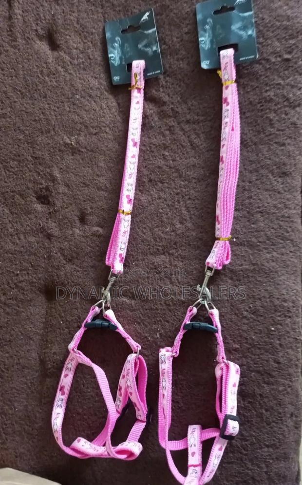 Chiwawa Dog Leash With Harness - main view