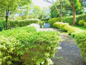 3bdrm Bungalow in Karen for rent