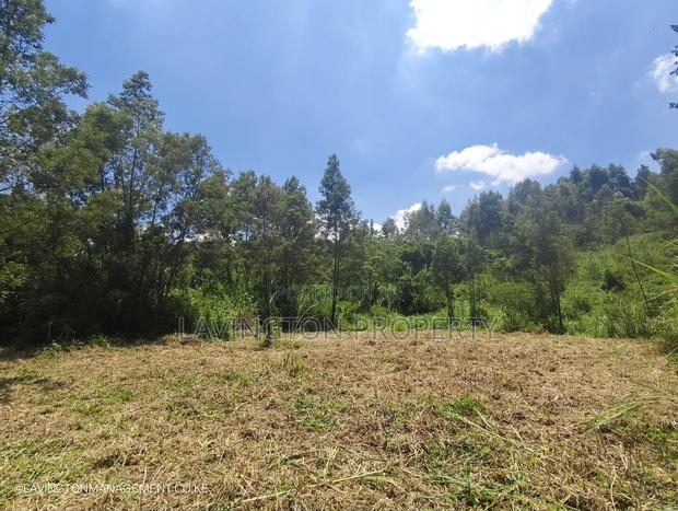 Prime 3.36 Acre Land in Lowerkabete - thumbnail 3