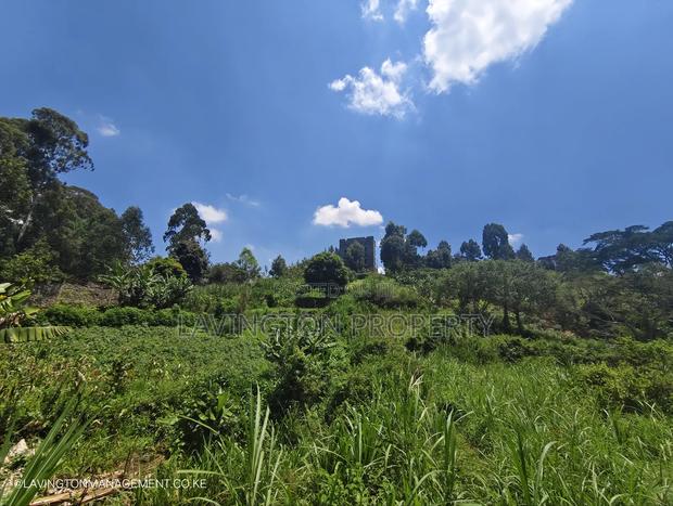 Prime 3.36 Acre Land in Lowerkabete - thumbnail 4