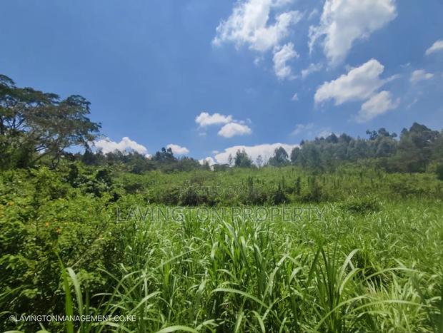 Prime 3.36 Acre Land in Lowerkabete - thumbnail 5