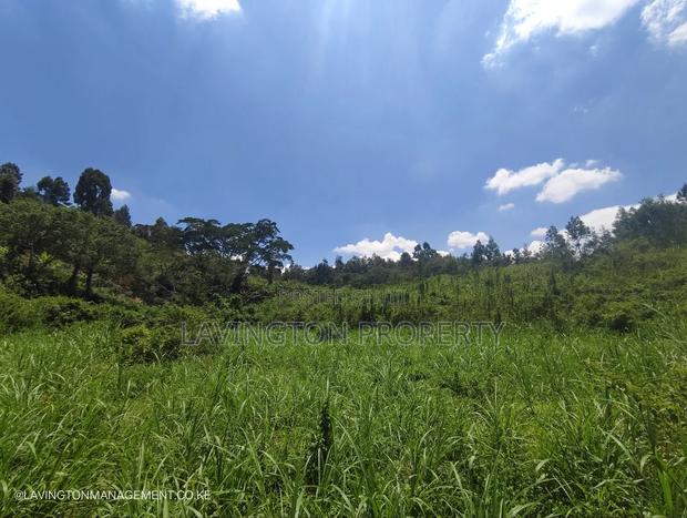 Prime 3.36 Acre Land in Lowerkabete - thumbnail 6