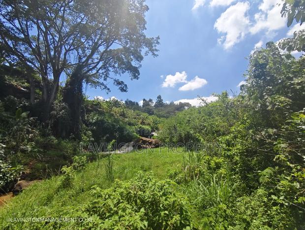 Prime 3.36 Acre Land in Lowerkabete - thumbnail 7