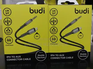Budi Lightning to Aux Conversion Cable - 1.2m