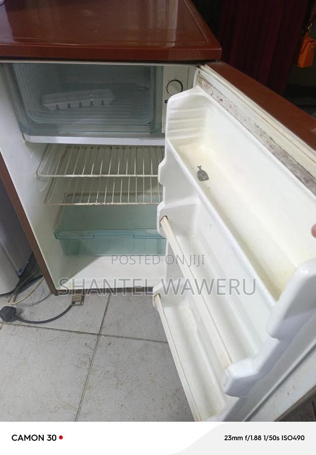 Small Fridge and Freezer - thumbnail 2