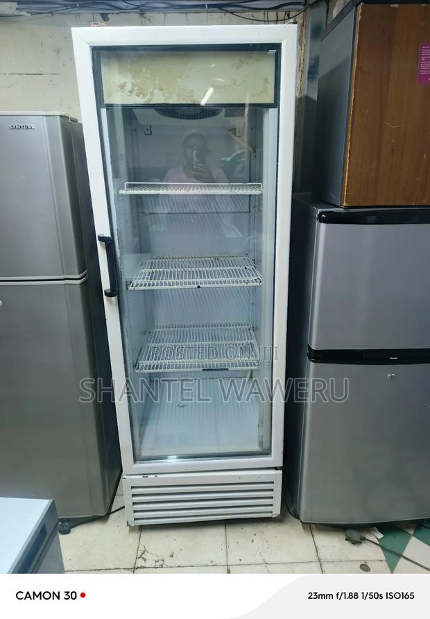 Displayfridge 280litres - main view