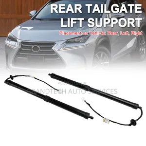 Lexus Nx200 Rear Boot Electric Shocks 2015-2018