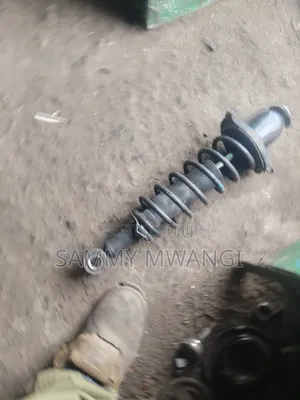Toyota Fielder Rear Shock