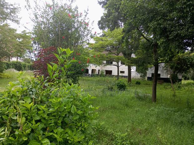 1 Acre for Sale - thumbnail 2