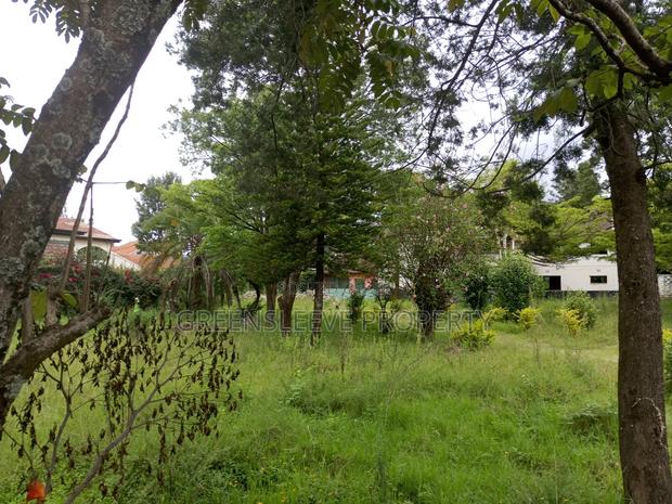 1 Acre for Sale - thumbnail 3