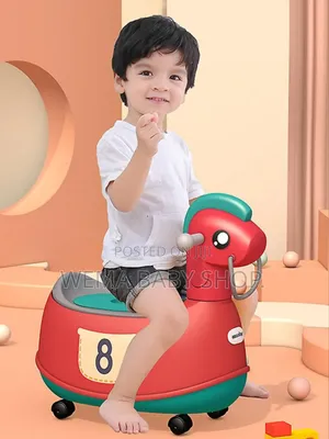 Multifunction Baby Potty