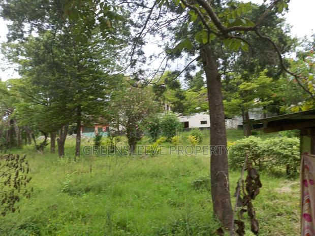 1 Acre for Sale - thumbnail 4