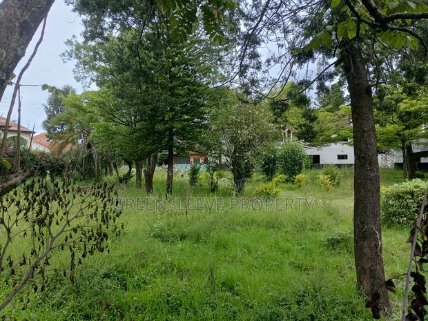 1 Acre for Sale - thumbnail 6