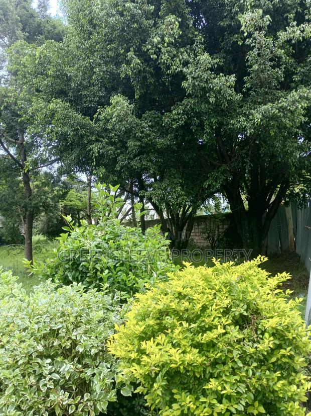 1 Acre for Sale - thumbnail 8