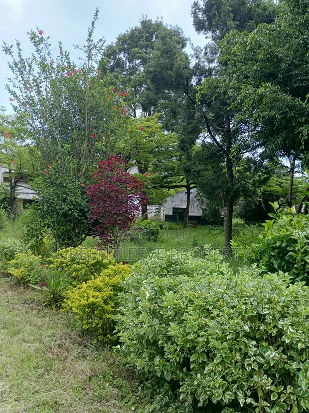 1 Acre for Sale - thumbnail 9