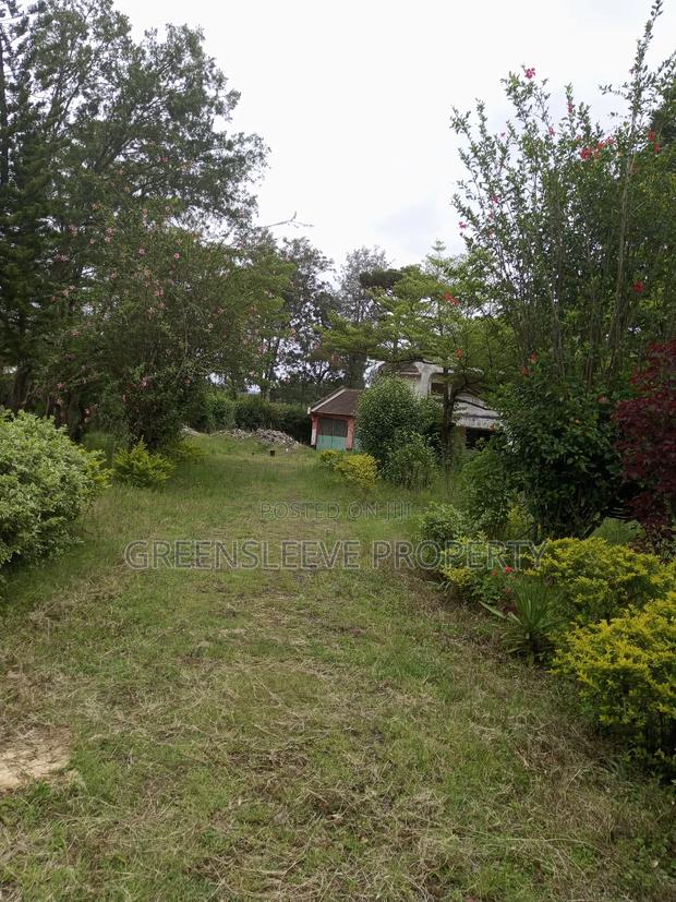 1 Acre for Sale - thumbnail 10