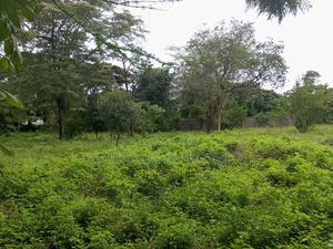 Commercial Land for Sale - thumbnail 2