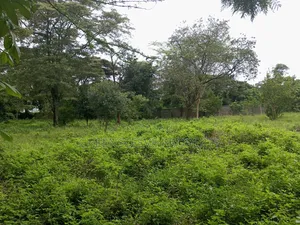 Commercial Land for Sale