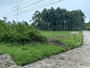 Commercial Land for Sale